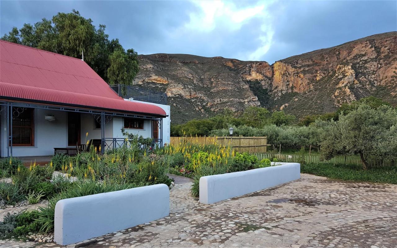 Baviaanskloof Landhuis Studtis المظهر الخارجي الصورة