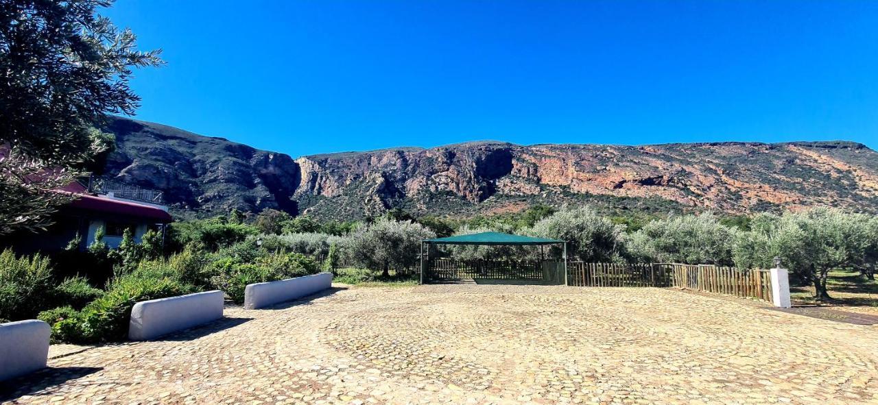Baviaanskloof Landhuis Studtis المظهر الخارجي الصورة